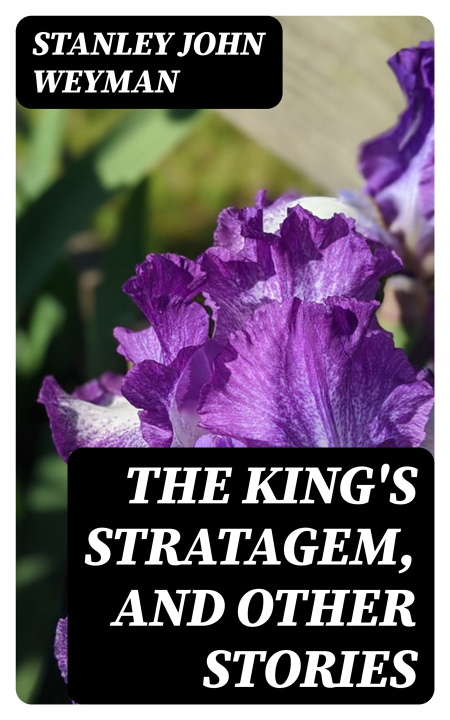 The Kings Stratagem And Other Stories Stanley John Weyman