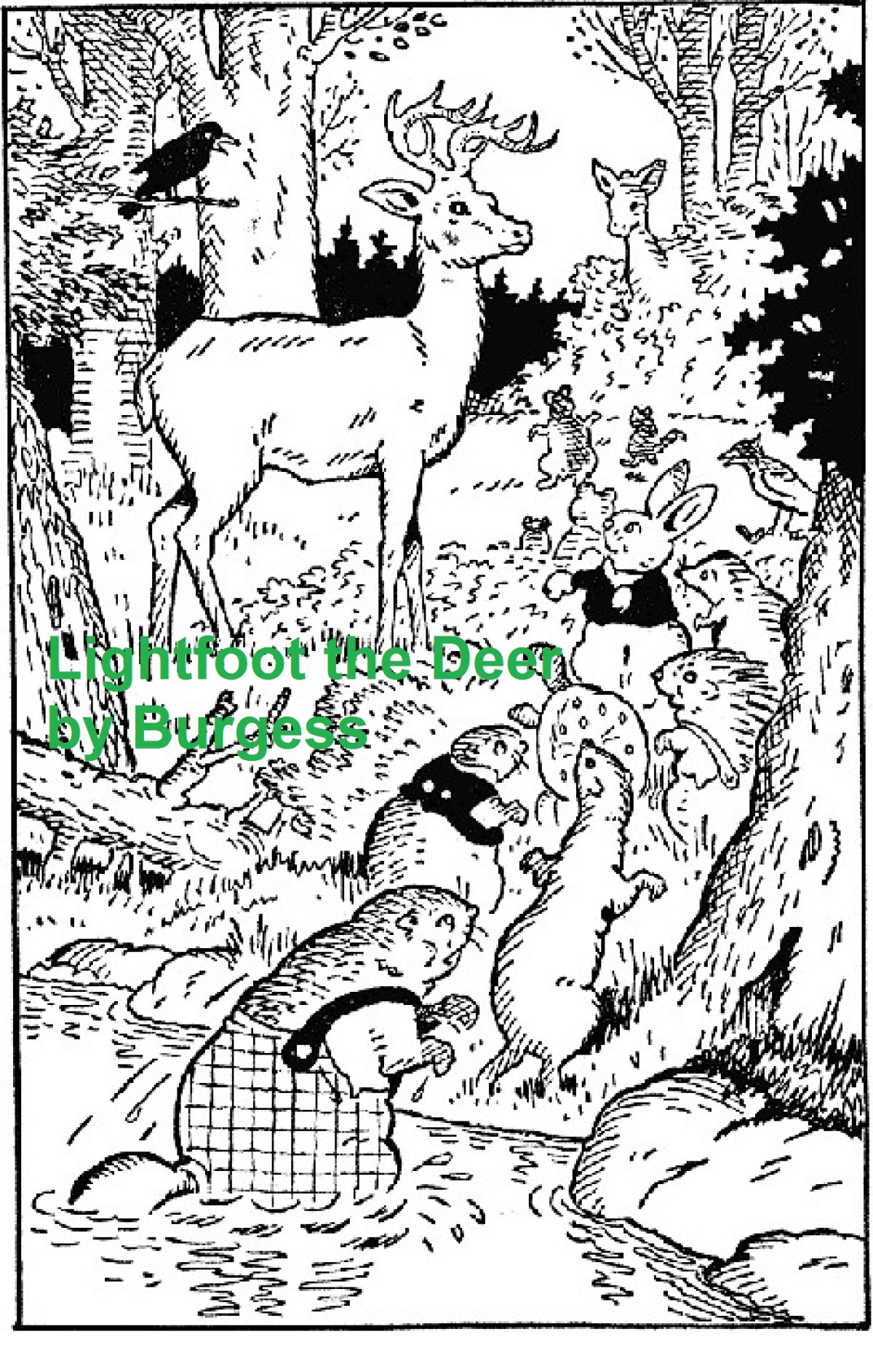 Lightfoot The Deer Thornton W Burgess