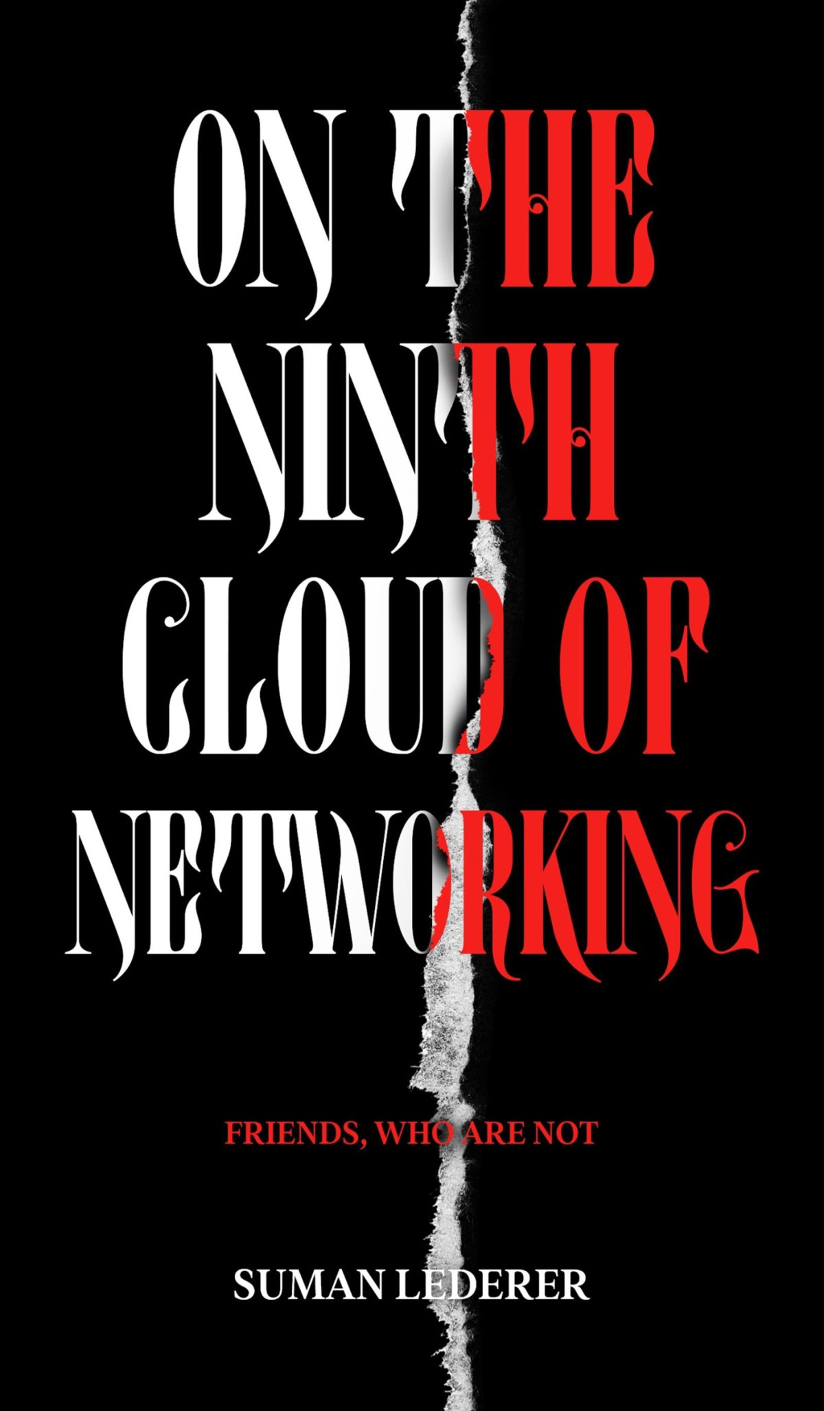 On The Ninth Cloud Of Networking Suman Lederer