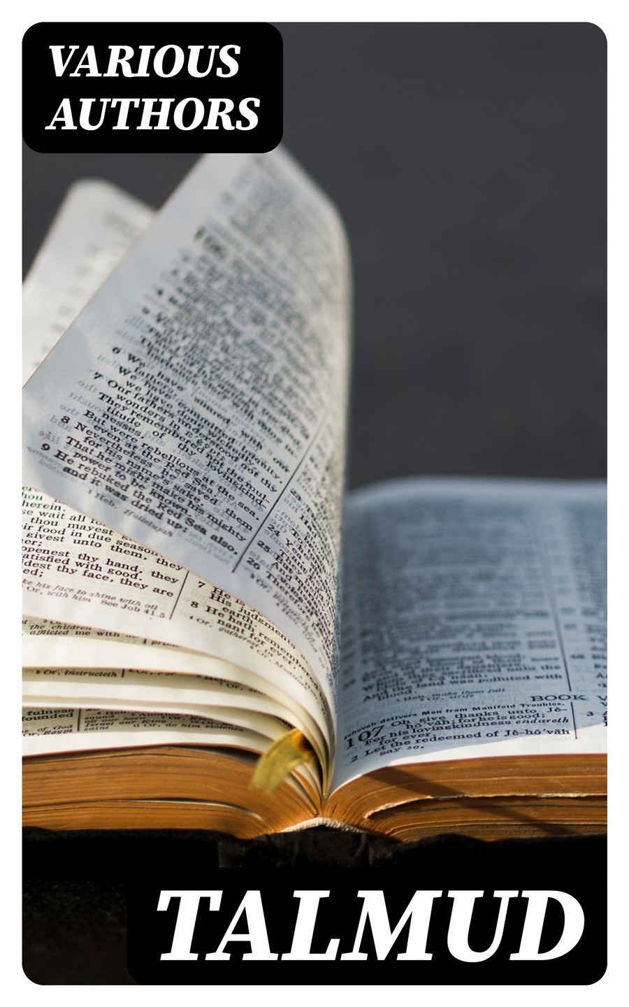 Talmud Various Authors