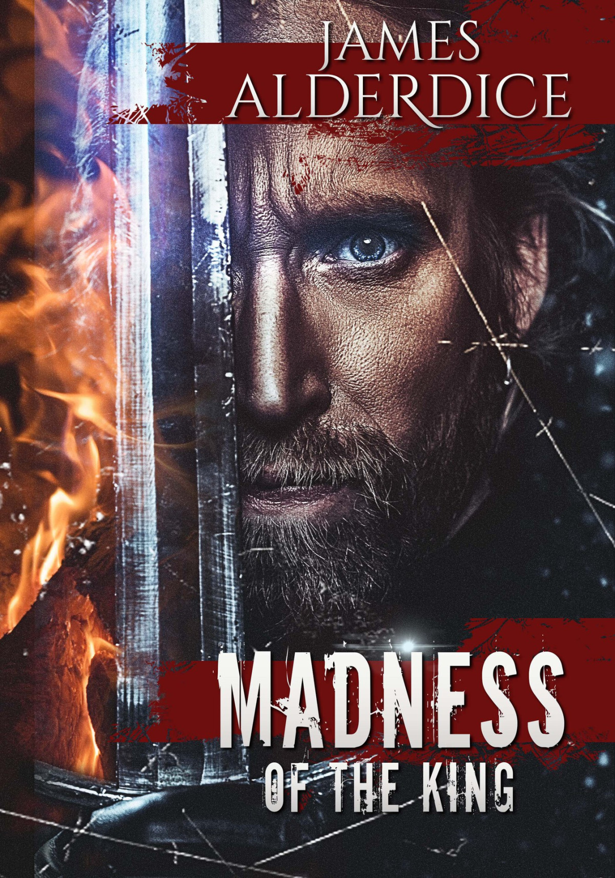 Madness Of The King An Epic Fantasy Adventure The Brutal Sword Saga Book 9 Alderdice