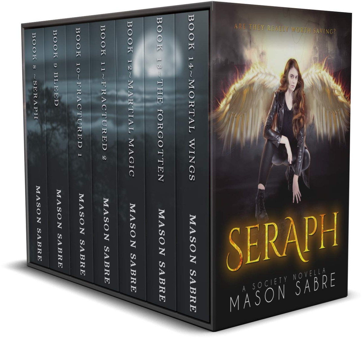 The Society Series Urban Fantasy Box Set Books 8 14 Mason Sabre