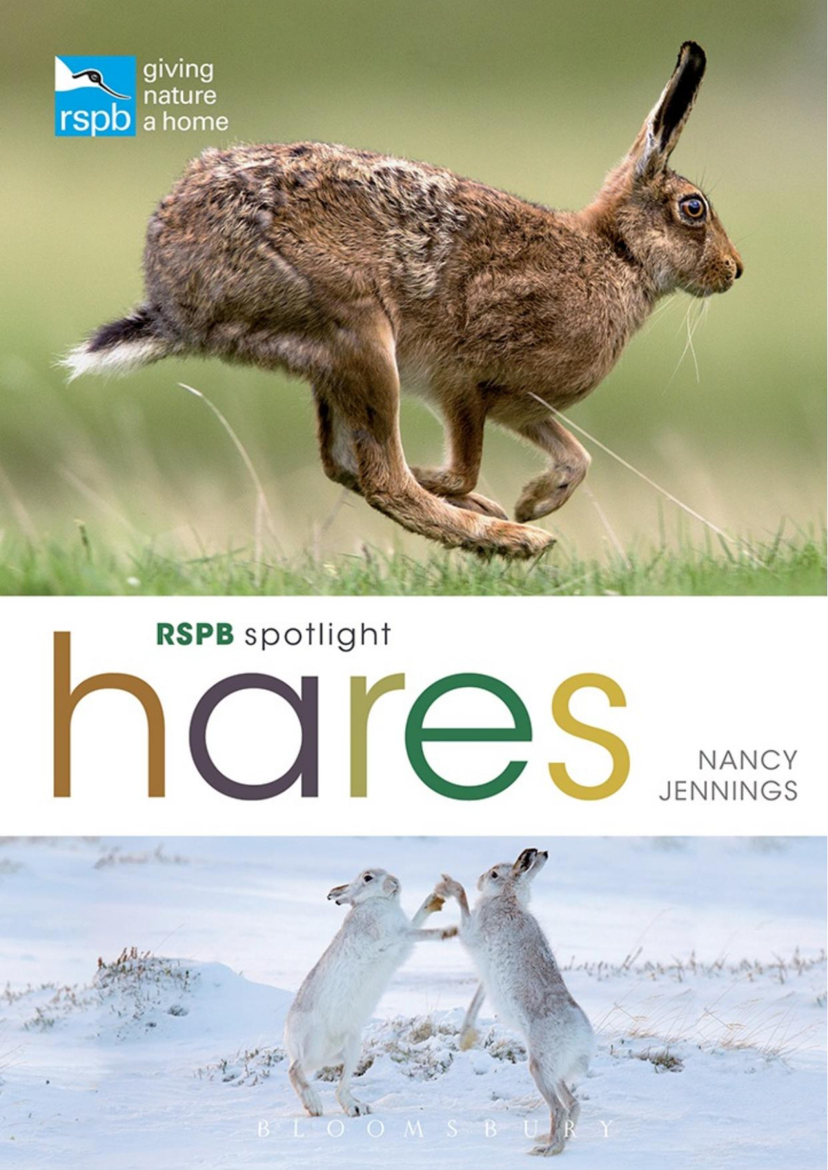Rspb Spotlight Hares Nancy Jennings