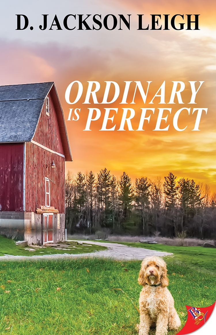 Ordinary Is Perfect D Jackson Leigh