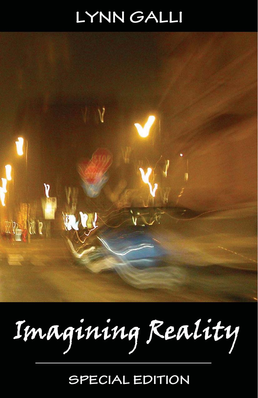 Imagining Reality Virginia Clan 2 Lynn Galli