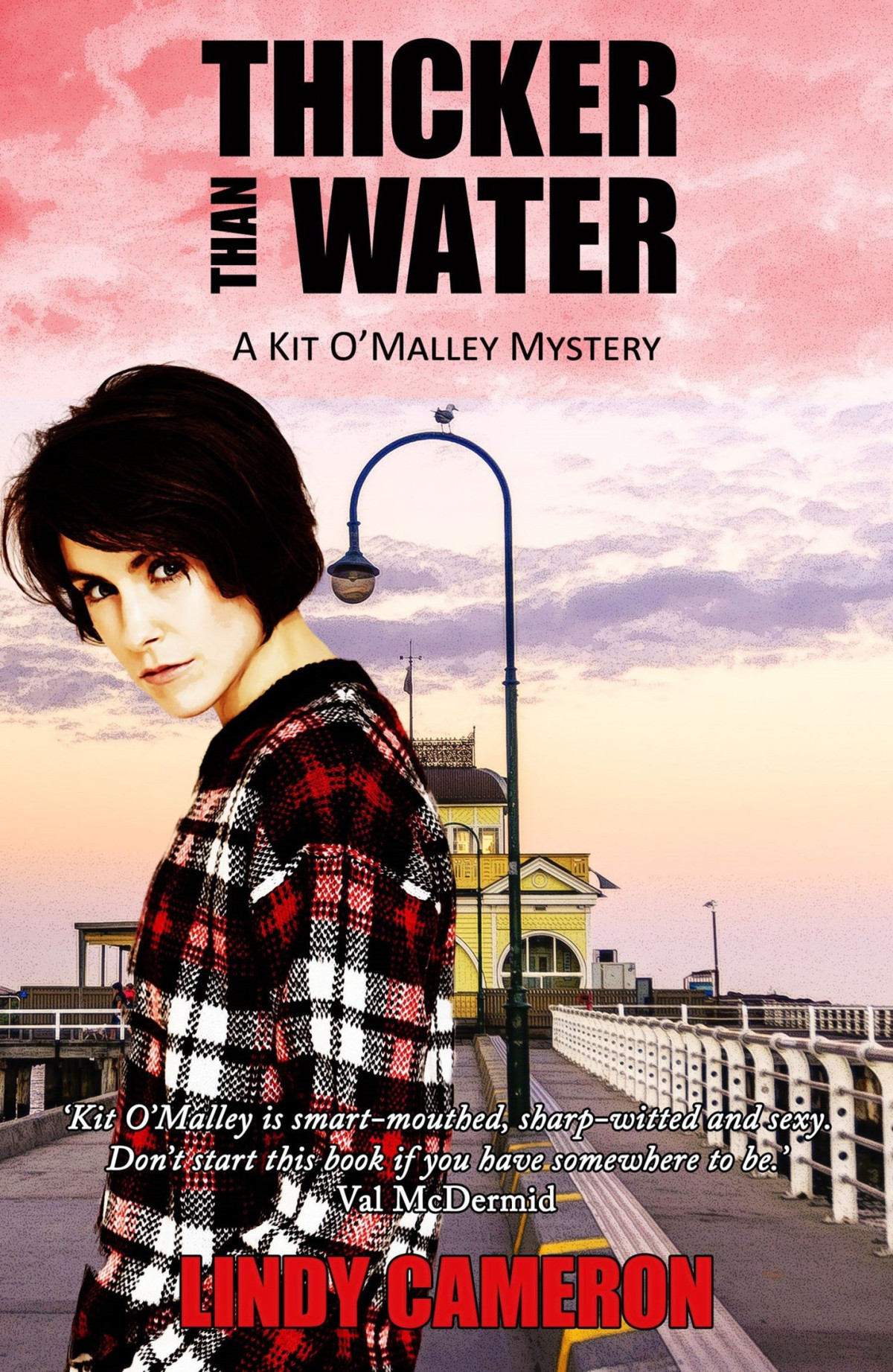Thicker Than Water Lindy Cameron