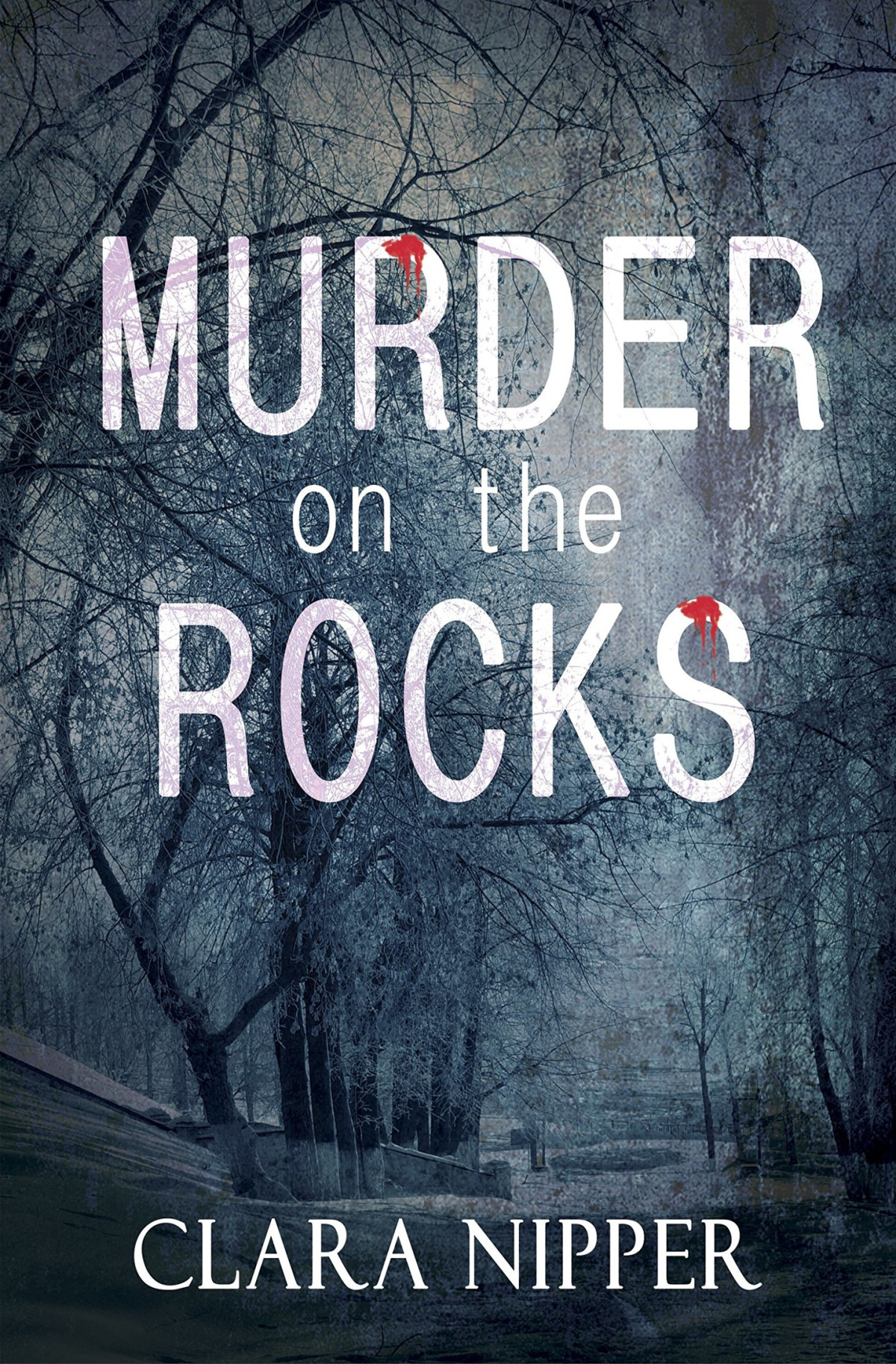 Murder On The Rocks Clara Nipper