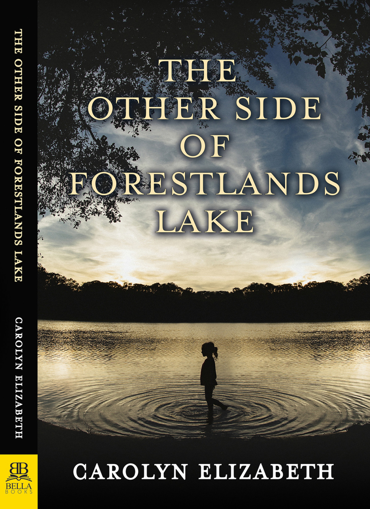The Other Side Of Forestlands Lake 1st Edition Carolyn Elizabeth