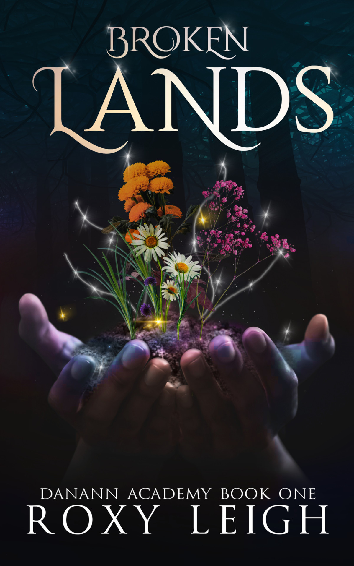 Broken Lands Danann Academy Book One Leigh Roxy