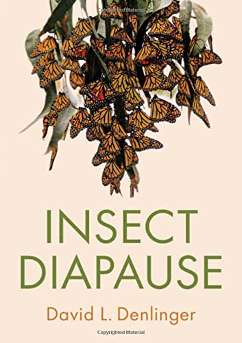 Insect Diapause New David L Denlinger