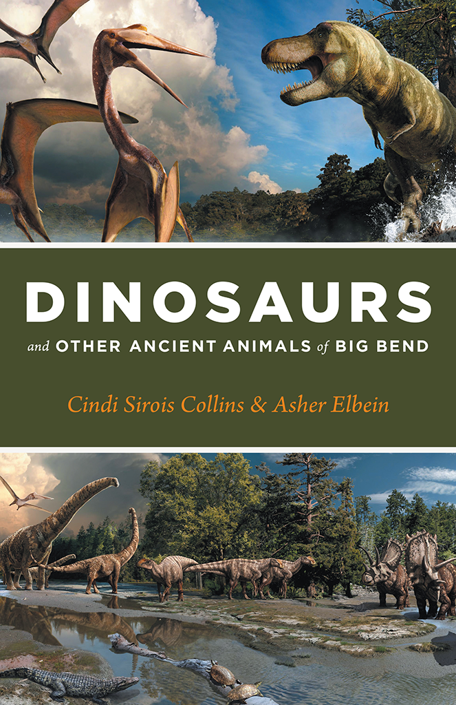 Dinosaurs And Other Ancient Animals Of Big Bend Cindi Sirois Collins