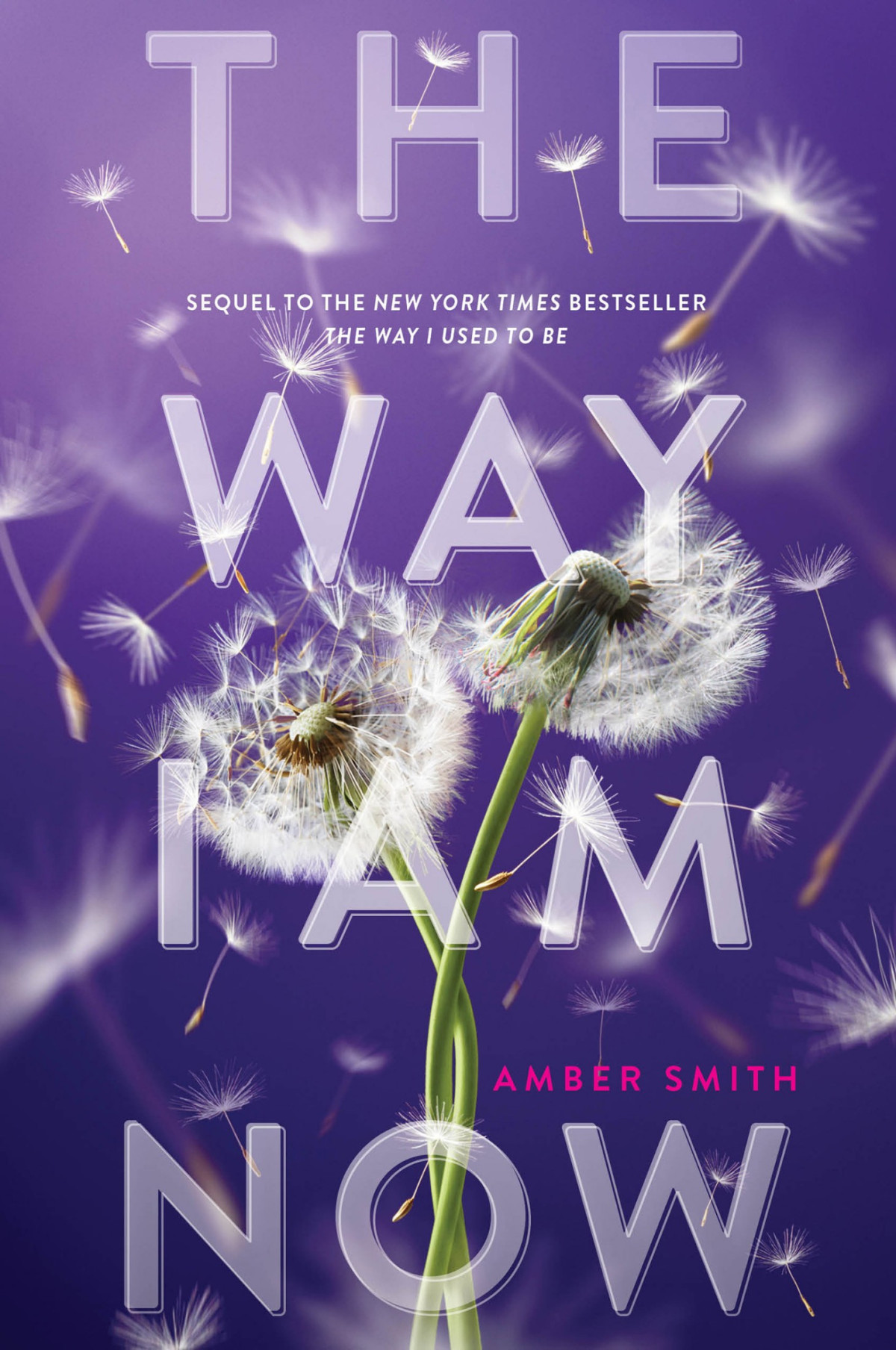 Amber Smith The Way I Am Now