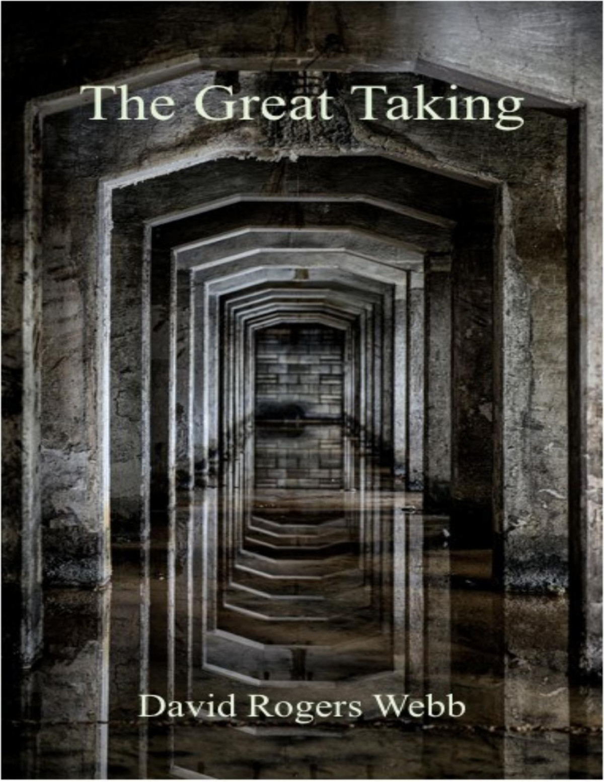 The Great Taking David R Webb