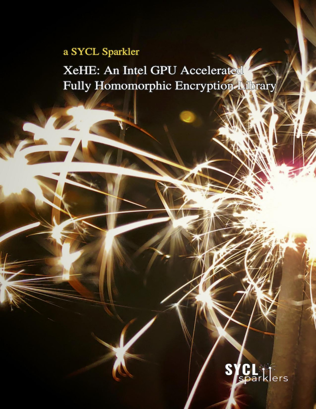 Xehe An Intel Gpu Accelerated Fully Homomorphic Encryption Library Alexander Lyashevsky