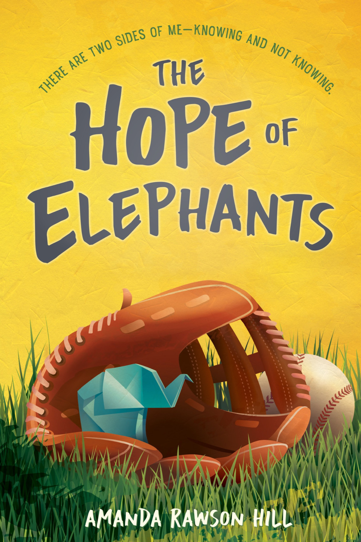 The Hope Of Elephants Amanda Rawson Hill