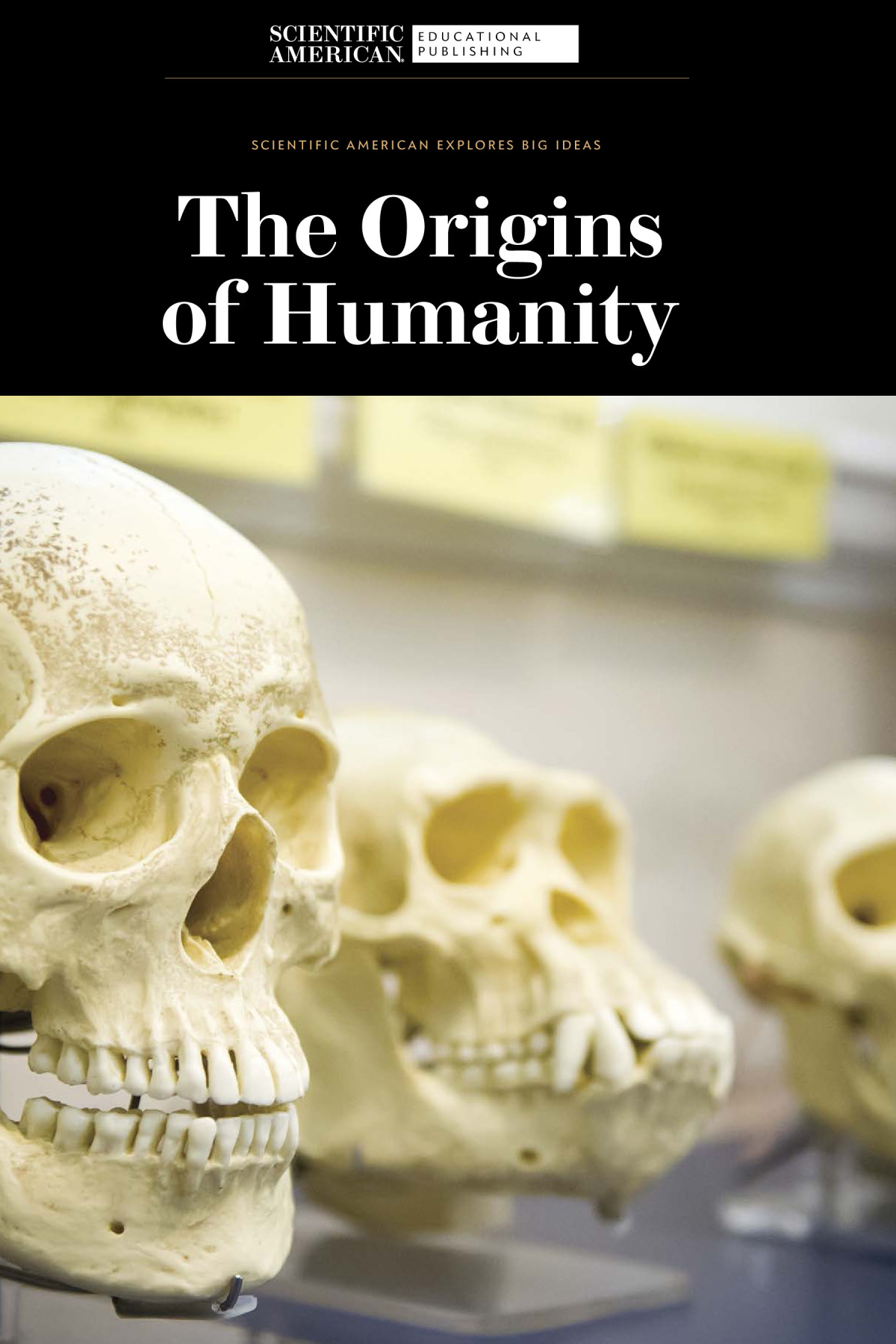The Origins Of Humanity Scientific American Editors