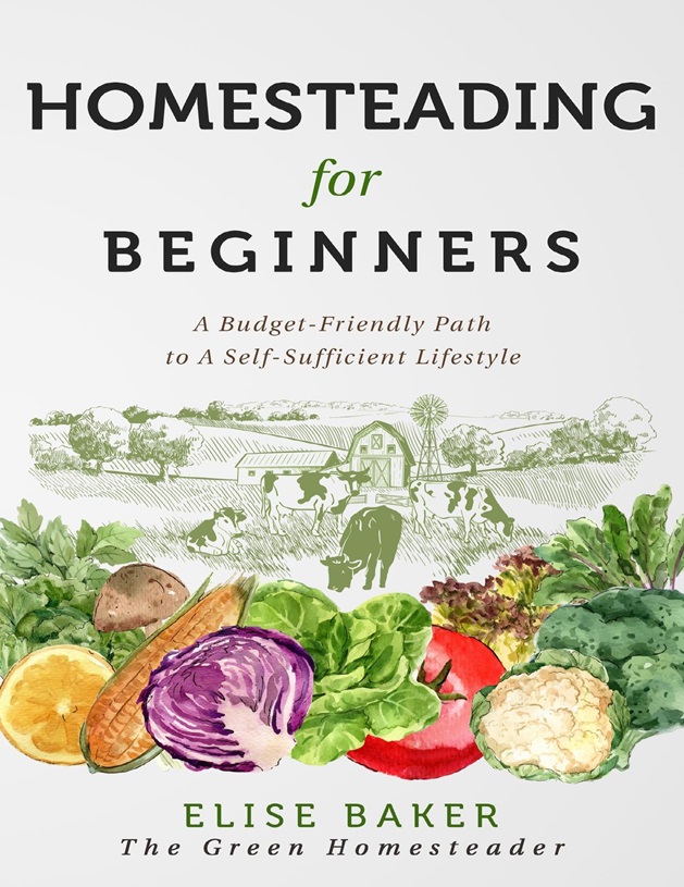 Homesteading For Beginners A Budgetfriendly Path To A Selfsufficient Lifestyle Elise Baker