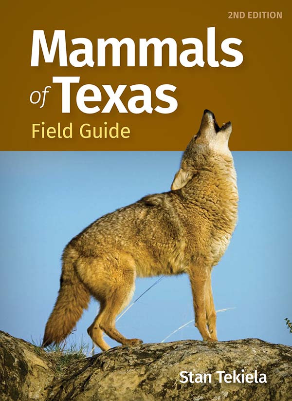 Mammals Of Texas Field Guide Stan Tekiela