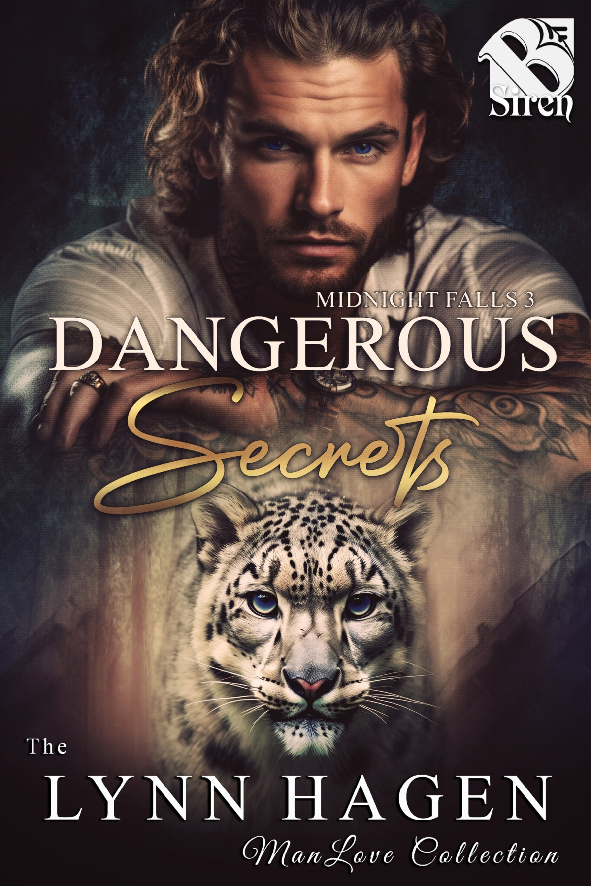 Dangerous Secrets Midnight Falls 3 The Lynn Hagen Manlove Collection Lynn Hagen