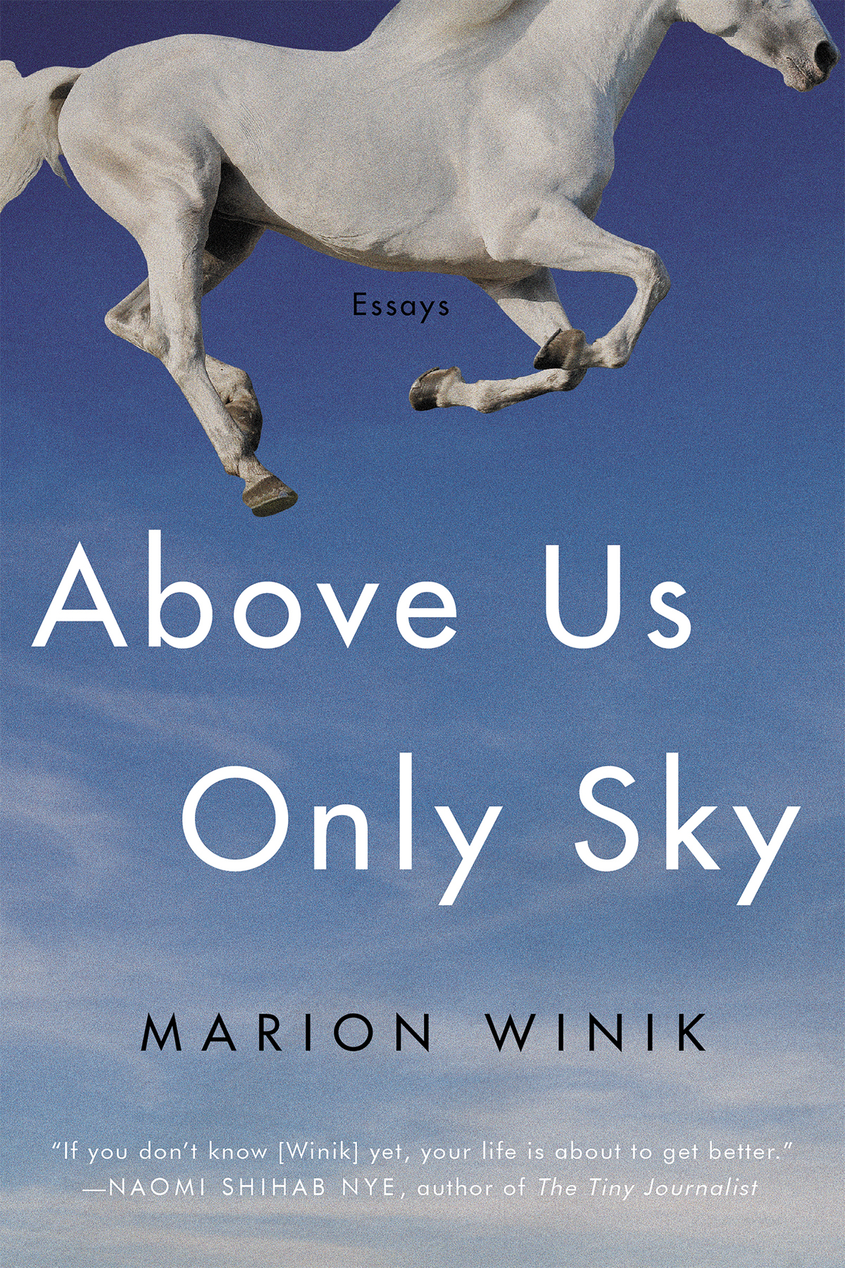Above Us Only Sky Marion Winik
