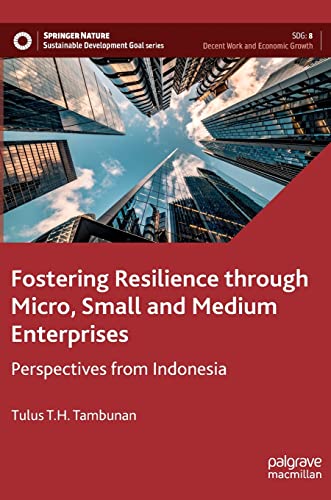Fostering Resilience Through Micro Small And Medium Enterprises Perspectives From Indonesia 1st Ed 2022 Tulus Th Tambunan
