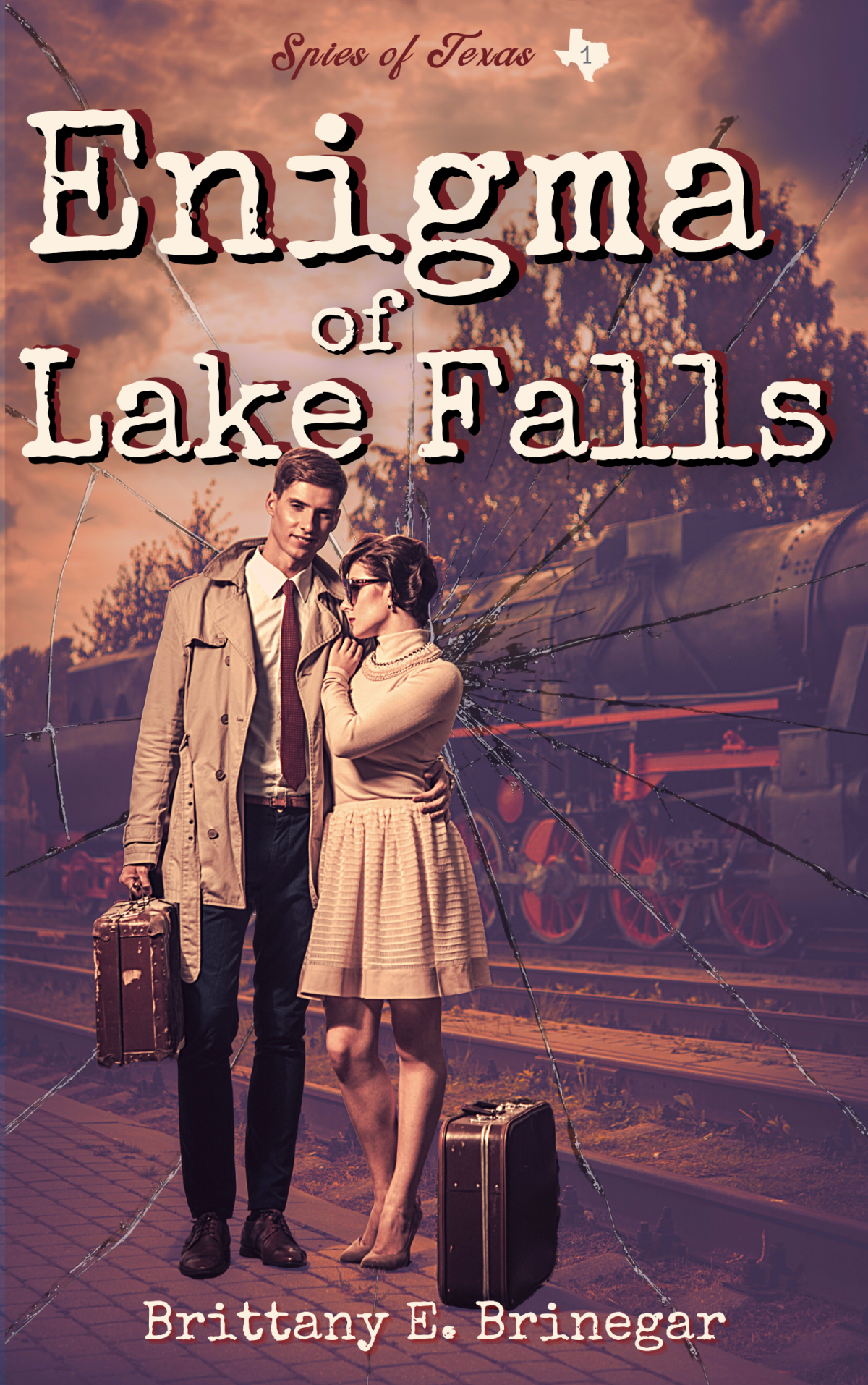 Enigma Of Lake Falls Brittany E Brinegar