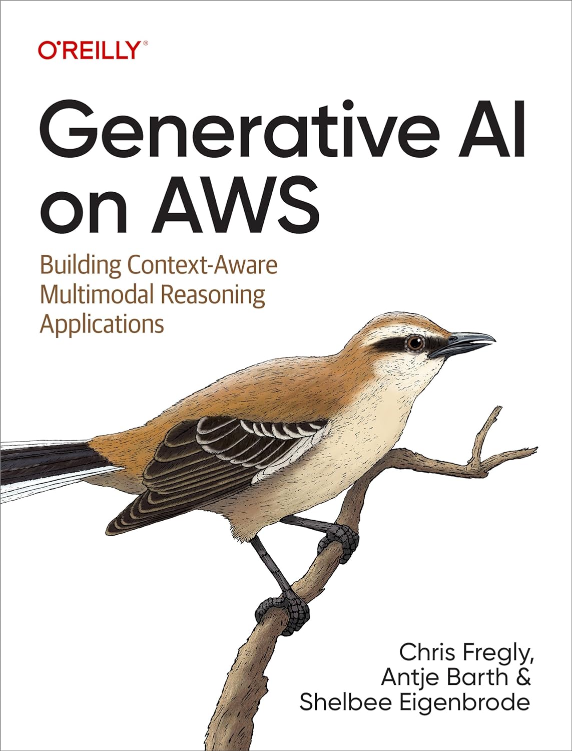 Generative Ai On Aws Building Contextaware Multimodal Reasoning Applications 1st Edition Chris Fregly