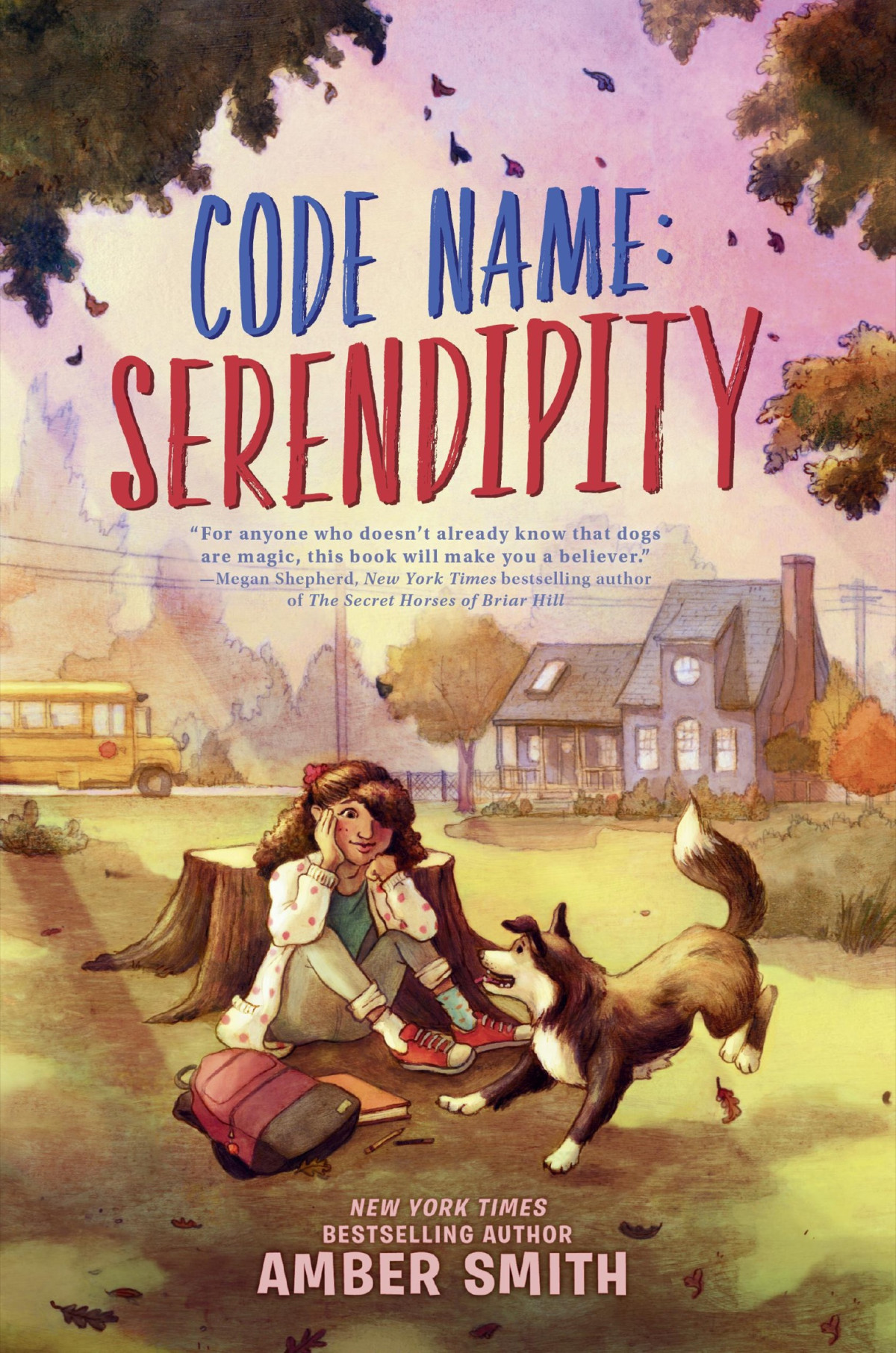 Code Name Serendipity Amber Smith