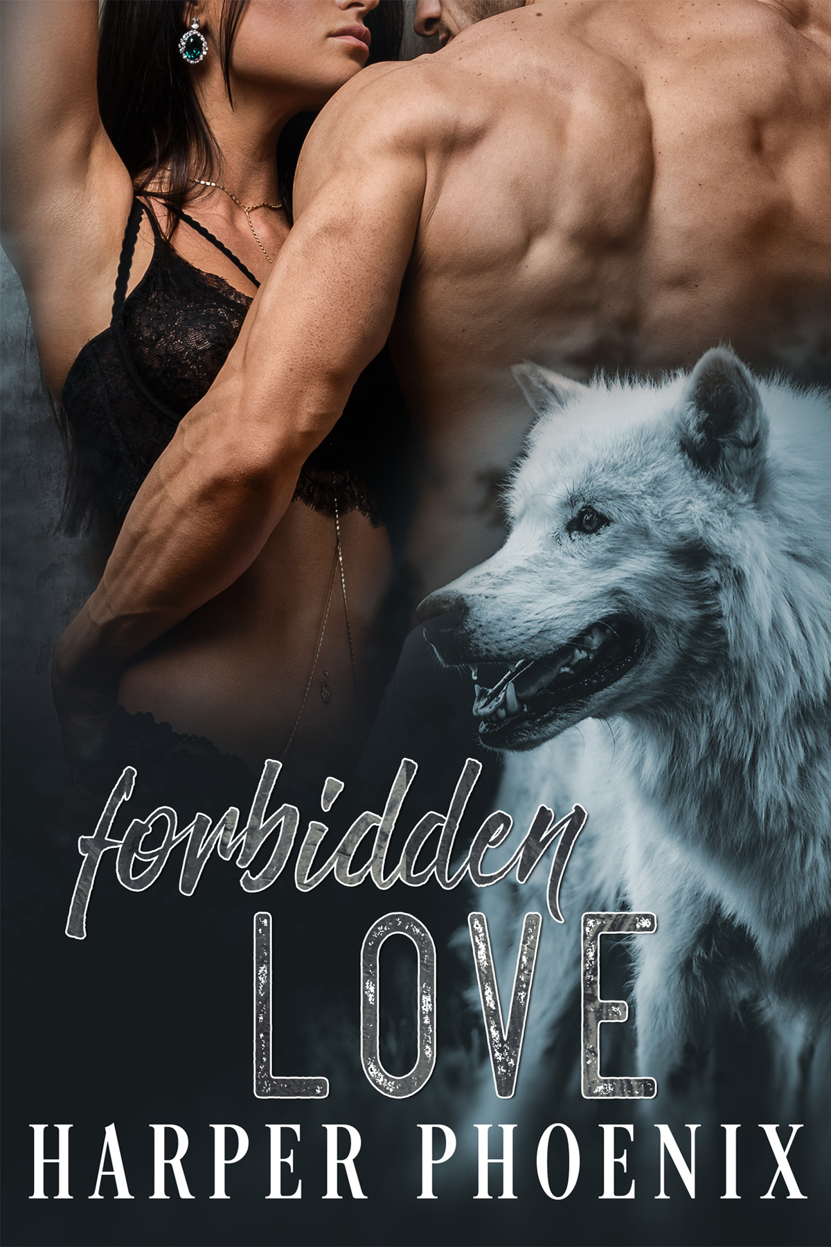 Forbidden Love Stone Pack 1 1st Edition Harper Phoenix