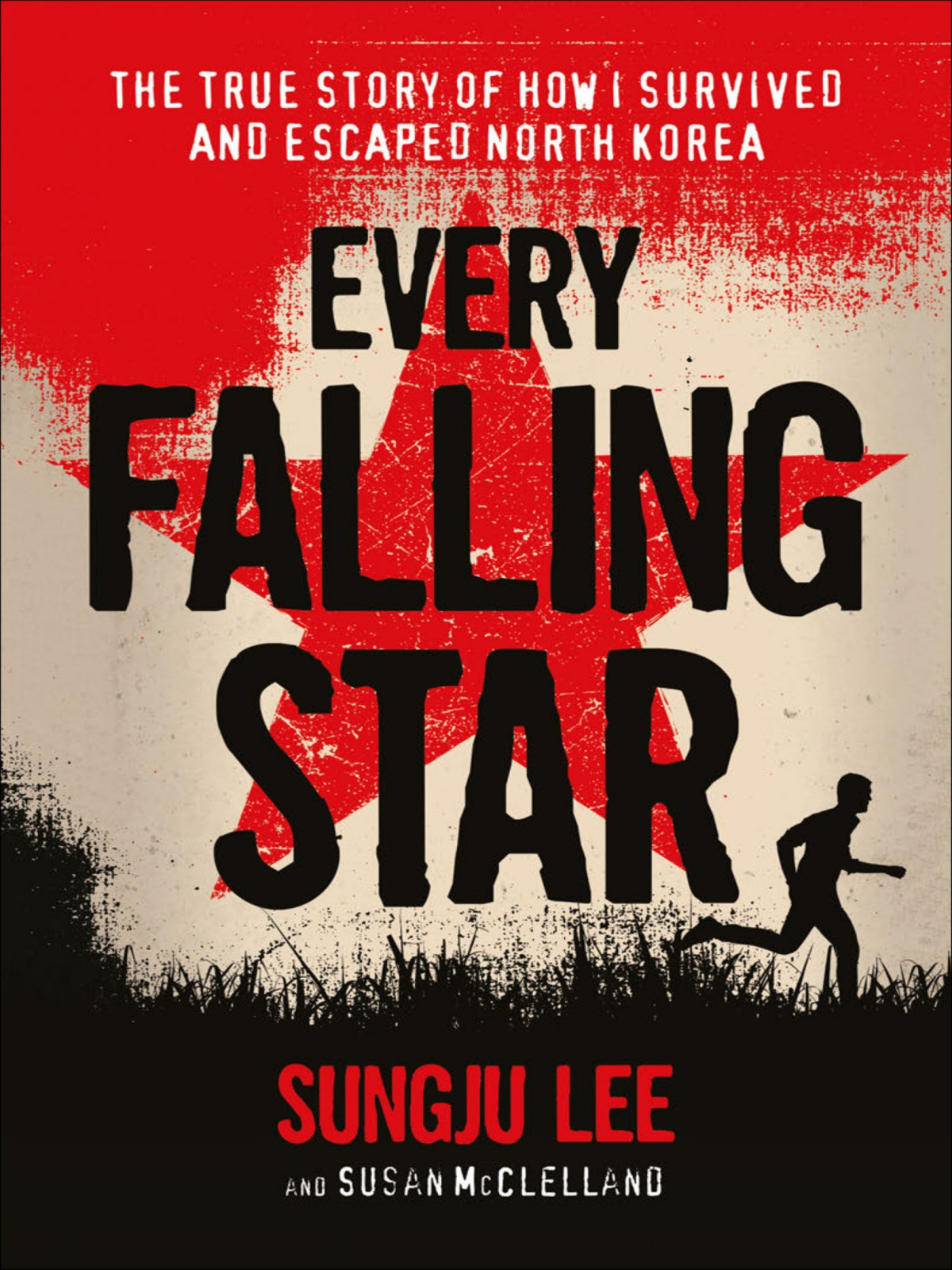 Every Falling Star Sungju Lee