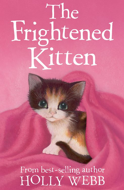 The Frightened Kitten Holly Webb