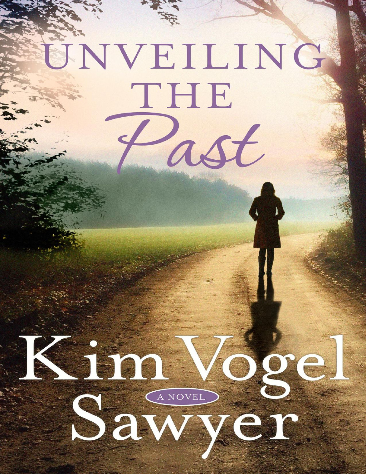 Unveiling The Past A Novel Kim Vogel Sawyer