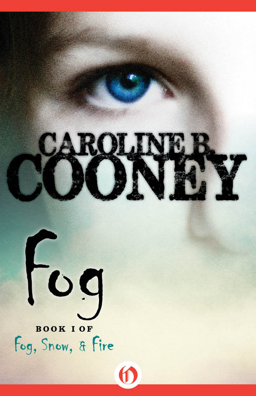 The Fog Caroline B Cooney