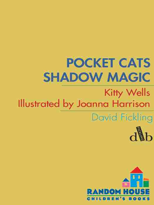 Shadow Magic Kitty Wells