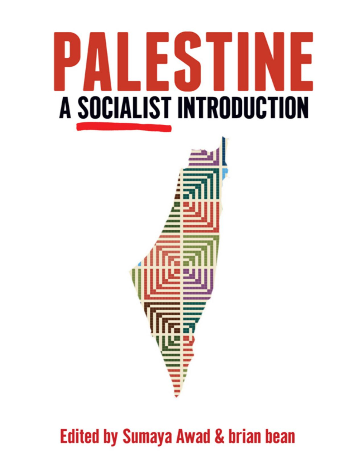 Palestine A Socialist Introduction 1st Edition Todd Bridigum