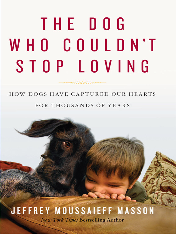 The Dog Who Couldnt Stop Loving Jeffrey Moussaieff Masson