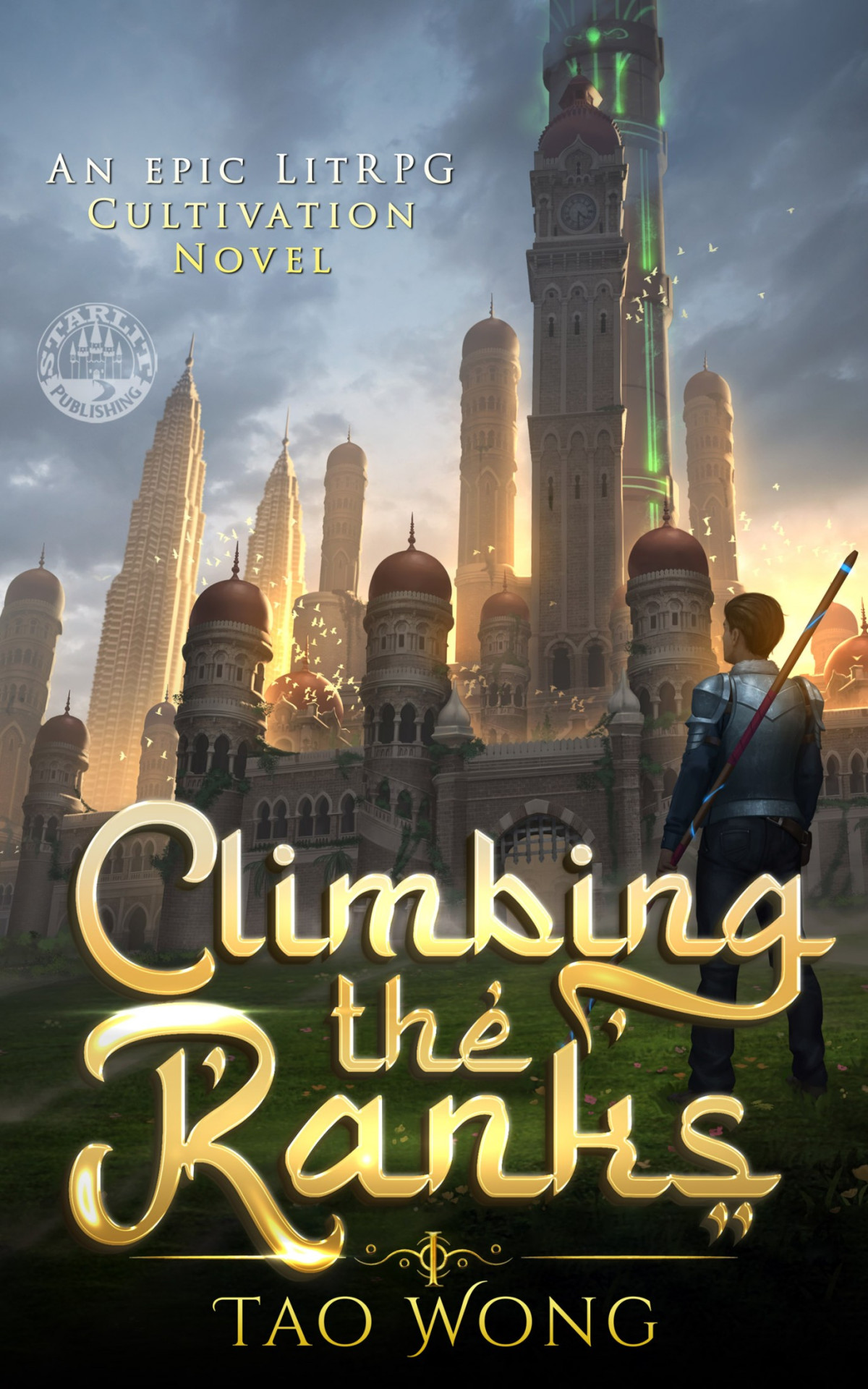 Climbing The Ranks 1 Tao Wong