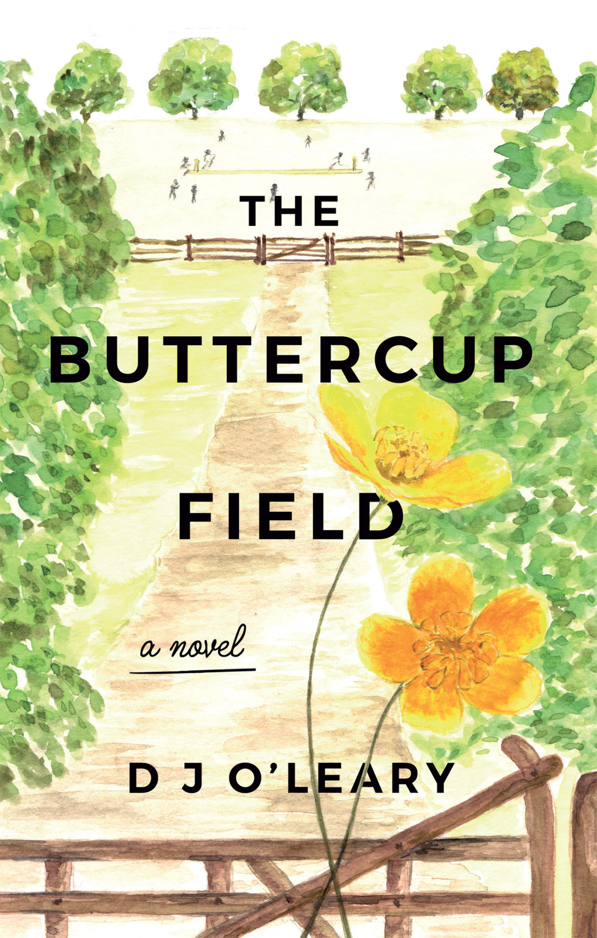 The Buttercup Field D J Oleary
