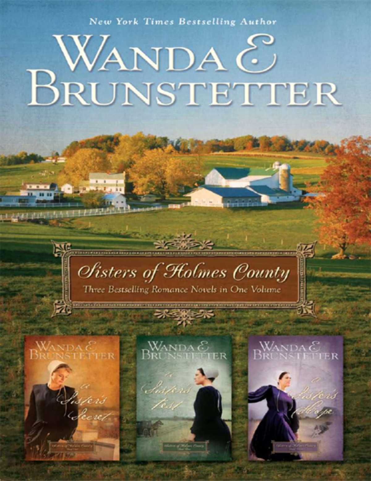 Sisters Of Holmes County Omnibus A Sisters Secret A Sisters Test A Sisters Hope Wanda E Brunstetter
