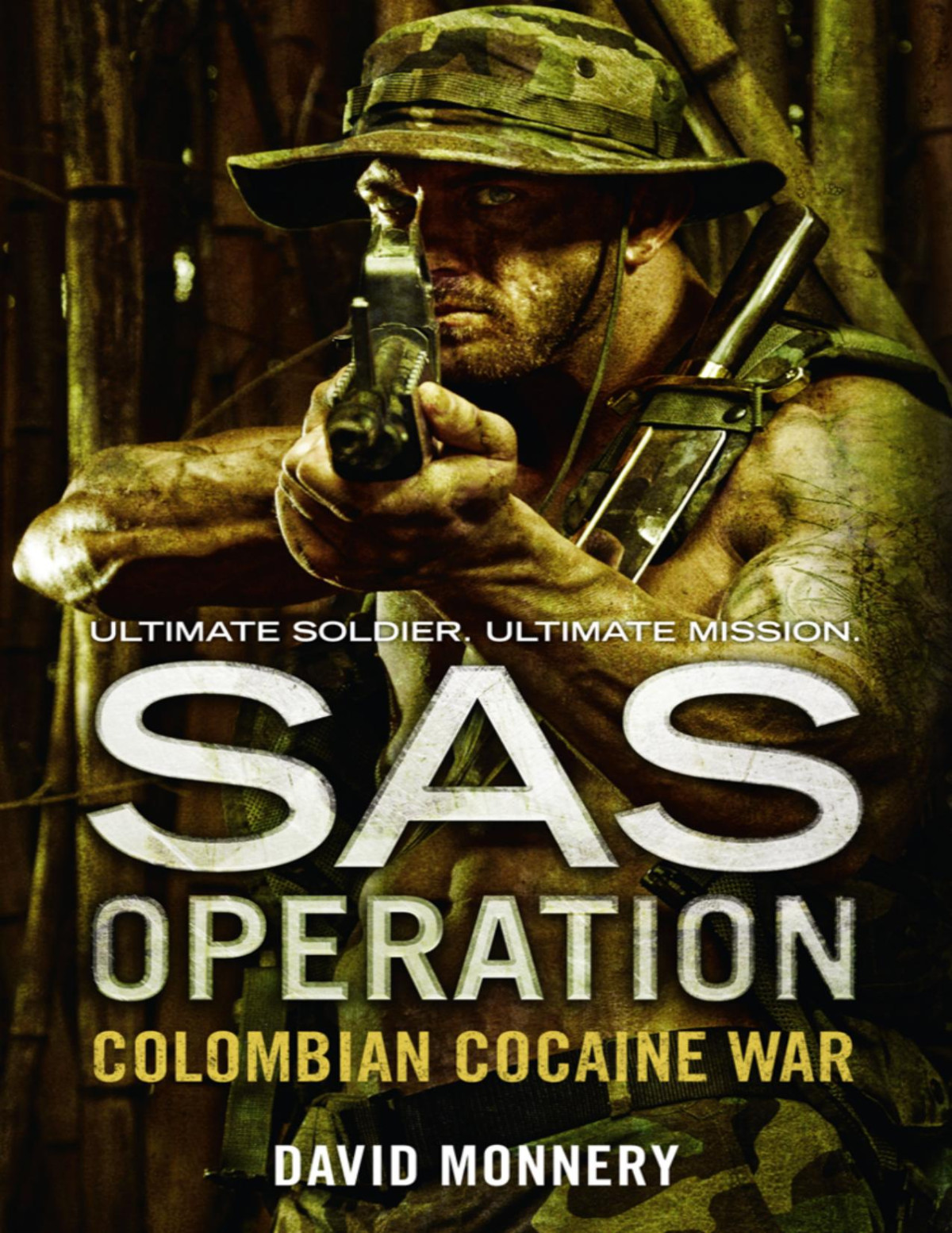 Colombian Cocaine War David Monnery