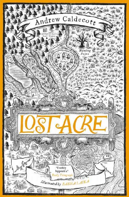 Lost Acre Andrew Caldecott