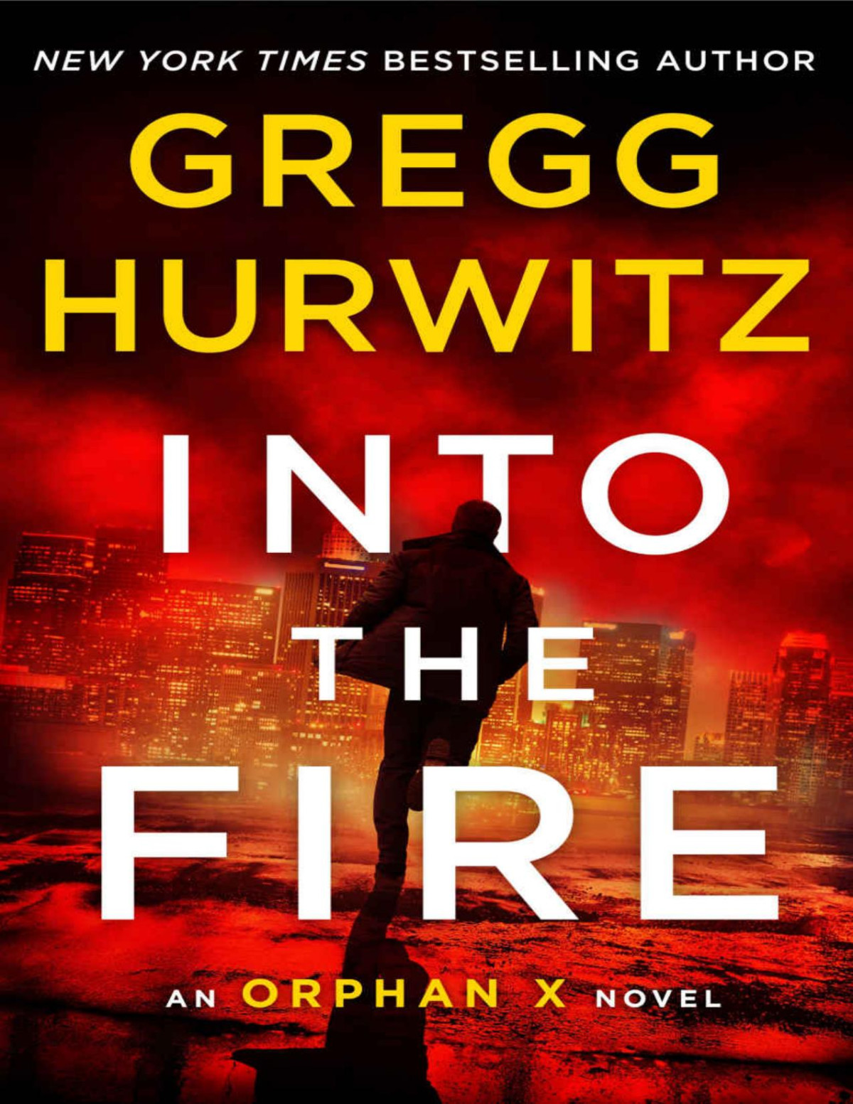 Into The Fire Gregg Andrew Hurwitz