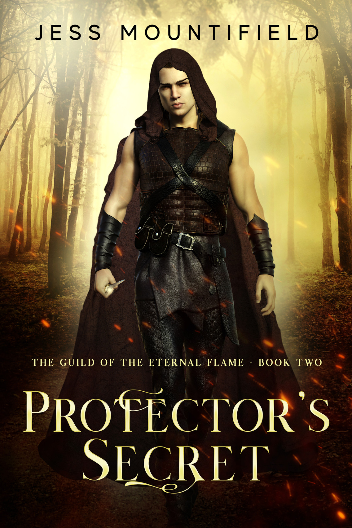 Protectors Secret Guild Of The Eternal Flame Book 2 Mountifield