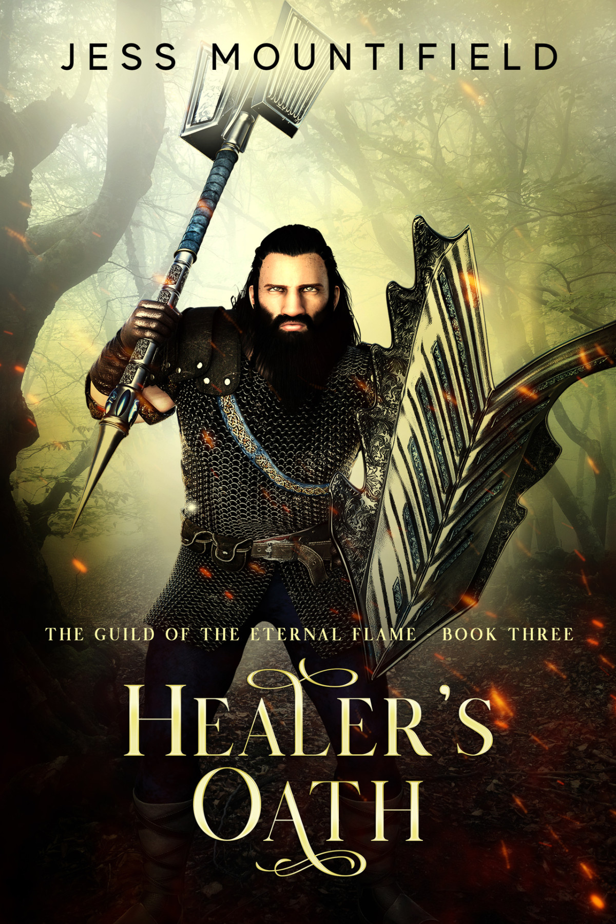 Healers Oath Guild Of The Eternal Flame Book 3 Mountifield
