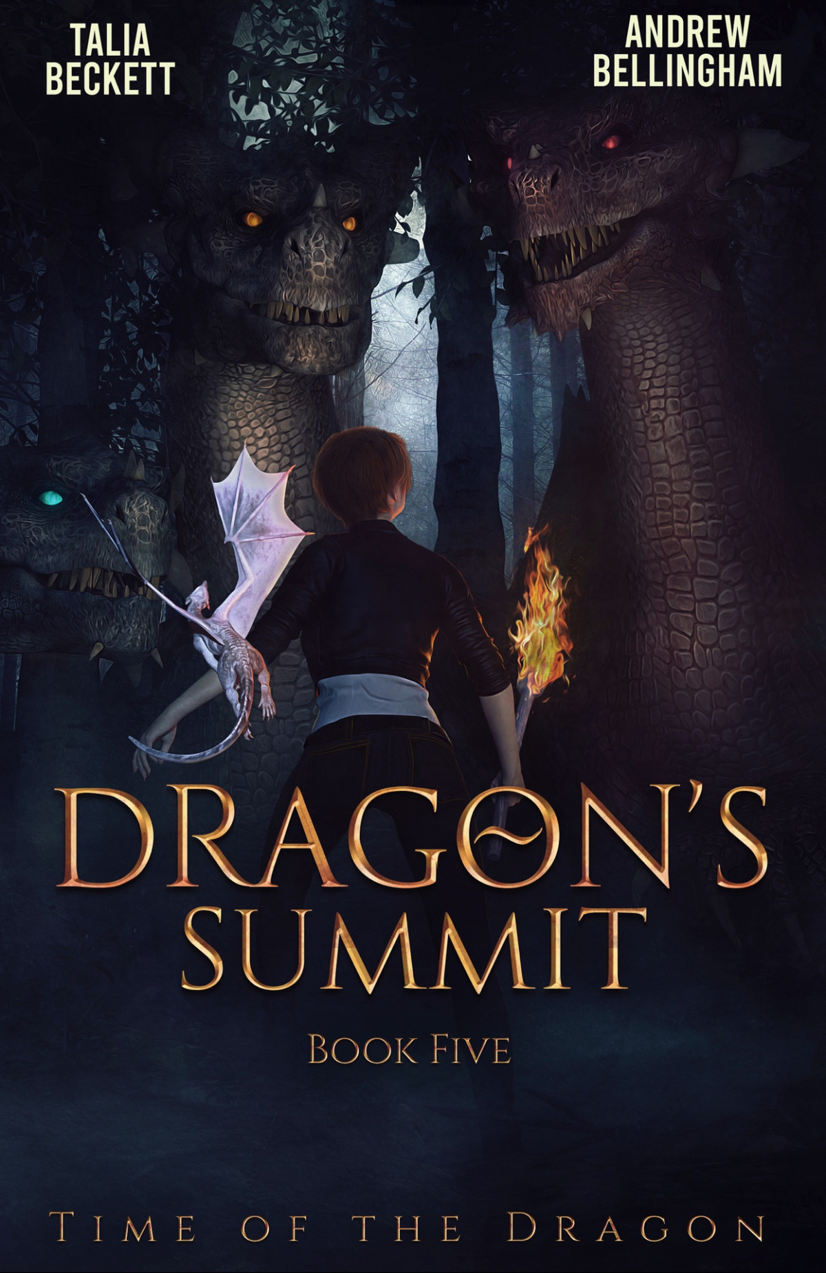 Dragons Summit Time Of The Dragon Book 5 Mountifield Jess Bellingham