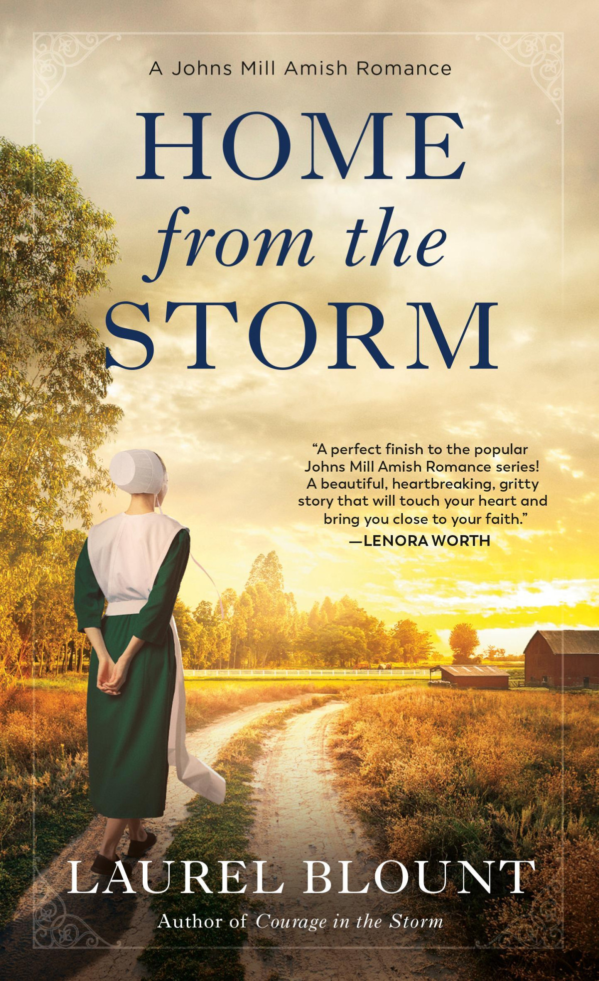 Home From The Storm Laurel Blount