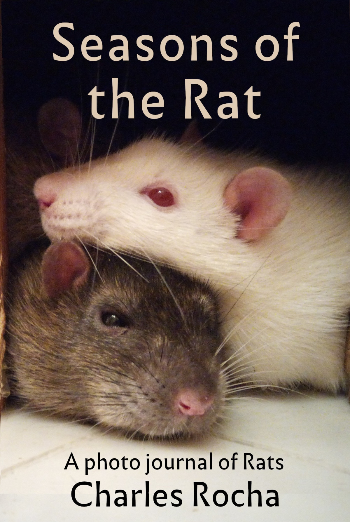 Seasons Of The Rat Charles Rocha