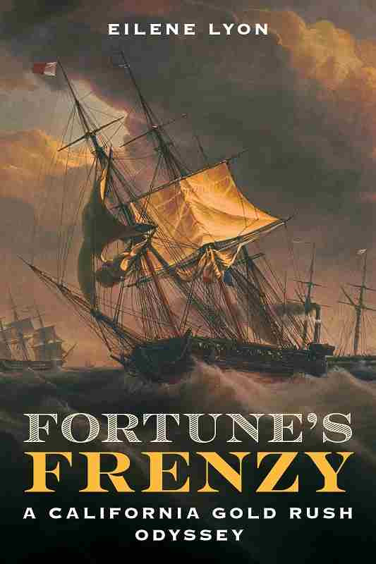 Fortunes Frenzy 1st Edition Eilene Lyon