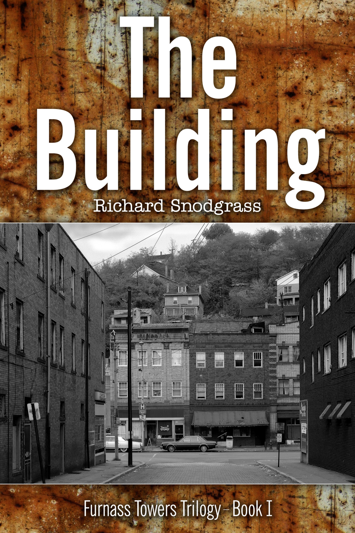 The Building Richard Snodgrass
