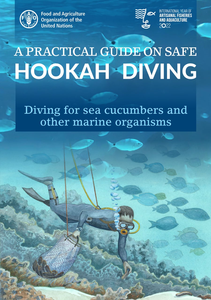 A Practical Guide On Safe Hookah Diving Diving For Sea Cucumbers And Other Marine Organisms Food And Agriculture Organization Of The United Nations
